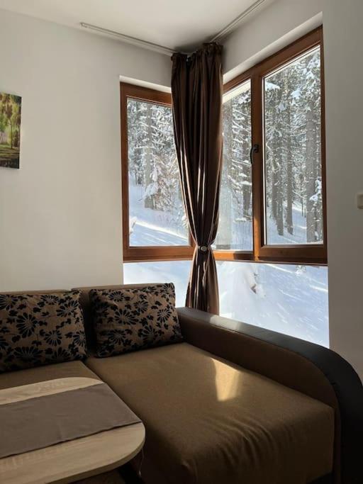 Forest Place Apartment Pamporovo Exterior photo