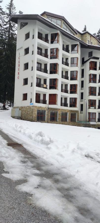 Forest Place Apartment Pamporovo Exterior photo